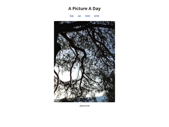 pages/2026/2026-03-09 screenshot