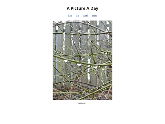 pages/2026/2026-03-11 screenshot