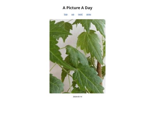 pages/2026/2026-03-14 screenshot