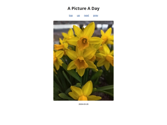 pages/2026/2026-03-20 screenshot