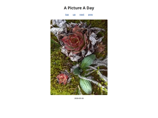 pages/2026/2026-03-26 screenshot