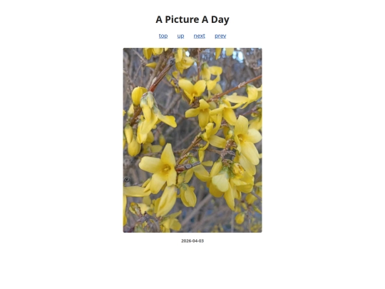 pages/2026/2026-04-03 screenshot