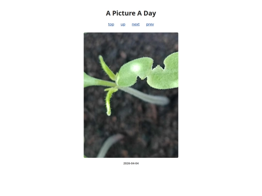 pages/2026/2026-04-04 screenshot