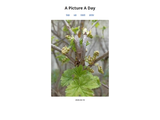 pages/2026/2026-04-10 screenshot