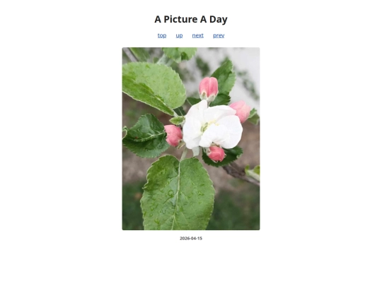 pages/2026/2026-04-15 screenshot
