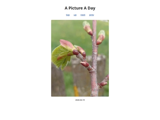 pages/2026/2026-04-19 screenshot