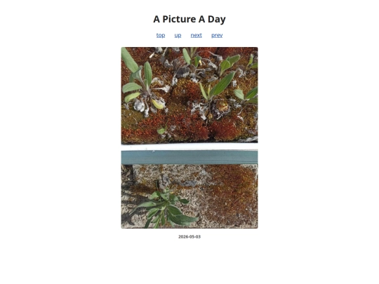 pages/2026/2026-05-03 screenshot