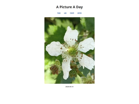 pages/2026/2026-05-31 screenshot
