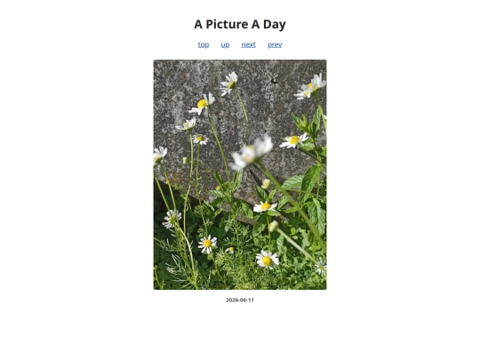 pages/2026/2026-06-11 screenshot
