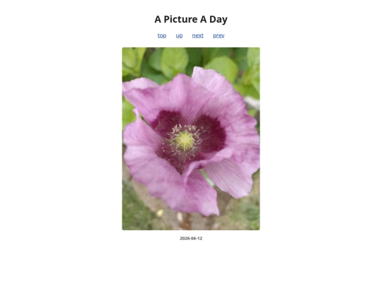 pages/2026/2026-06-12 screenshot