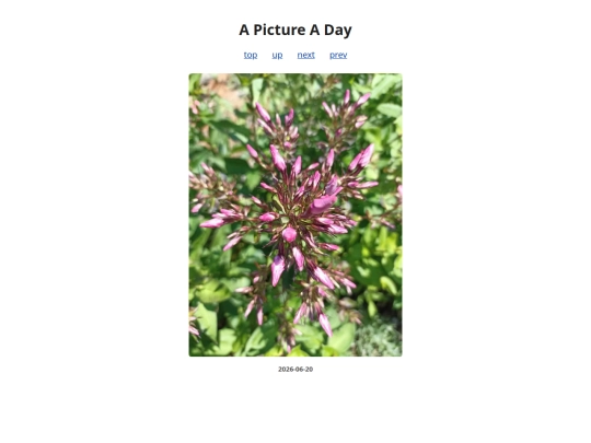pages/2026/2026-06-20 screenshot
