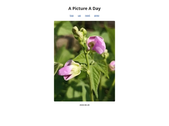 pages/2026/2026-06-28 screenshot