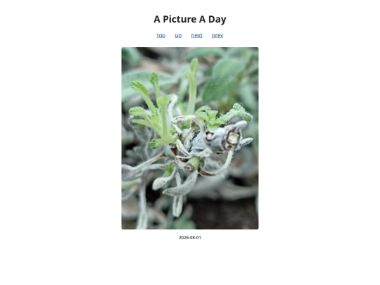 pages/2026/2026-08-01 screenshot