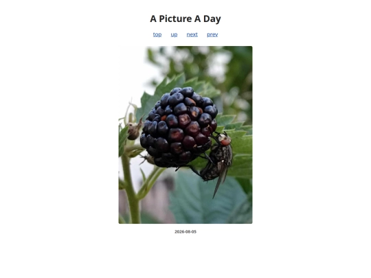 pages/2026/2026-08-05 screenshot