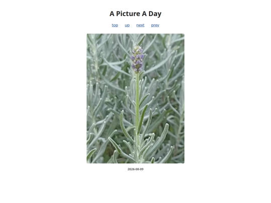 pages/2026/2026-08-09 screenshot