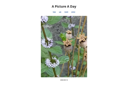 pages/2026/2026-08-14 screenshot