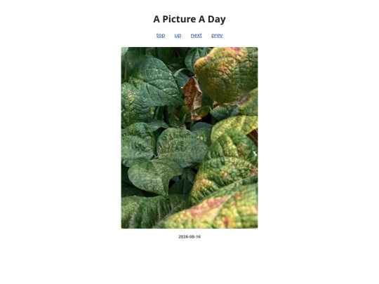 pages/2026/2026-08-16 screenshot