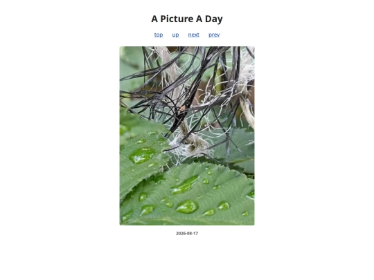 pages/2026/2026-08-17 screenshot