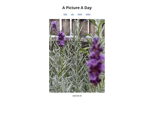 pages/2026/2026-08-28 screenshot