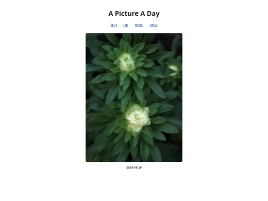 pages/2026/2026-08-29 screenshot