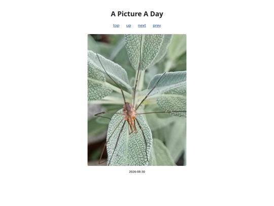 pages/2026/2026-08-30 screenshot