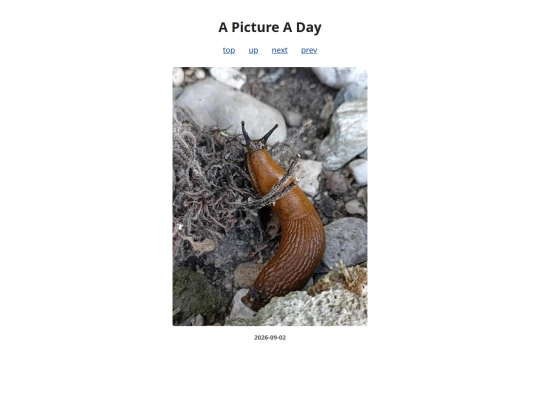 pages/2026/2026-09-02 screenshot