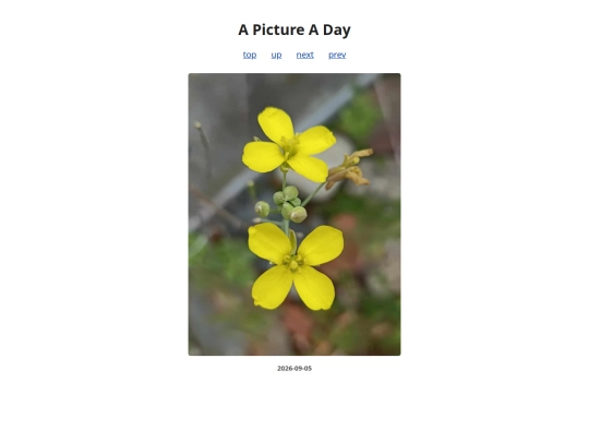 pages/2026/2026-09-05 screenshot