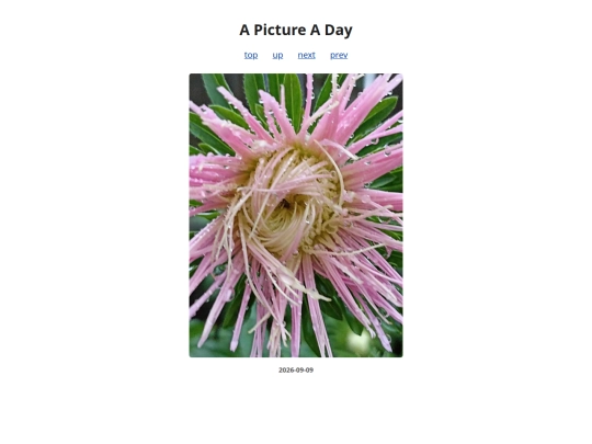 pages/2026/2026-09-09 screenshot