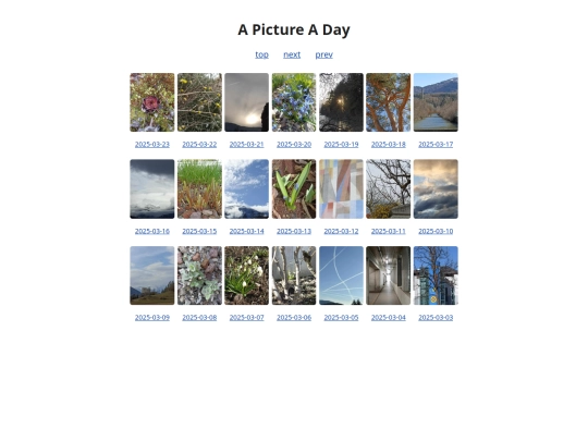 pages/grids/2025-12 screenshot