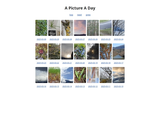 pages/grids/2025-13 screenshot