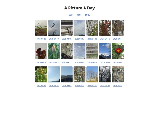 pages/grids/2025-16 screenshot