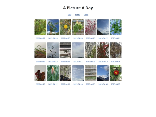 pages/grids/2025-17 screenshot
