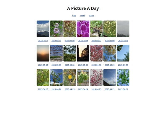 pages/grids/2025-19 screenshot