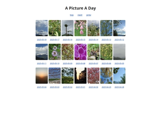 pages/grids/2025-20 screenshot