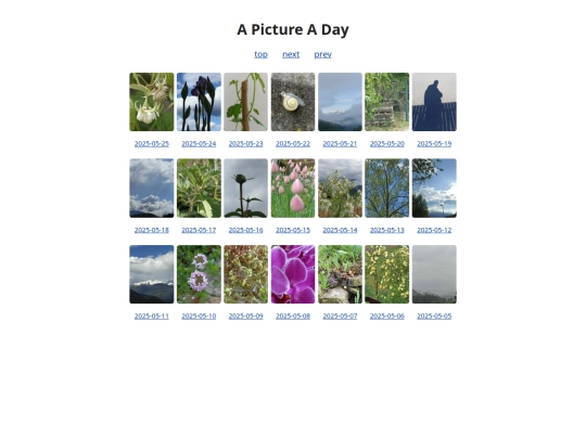 pages/grids/2025-21 screenshot