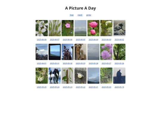pages/grids/2025-23 screenshot