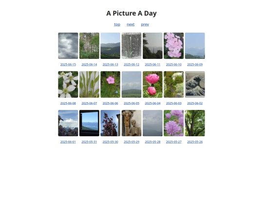 pages/grids/2025-24 screenshot