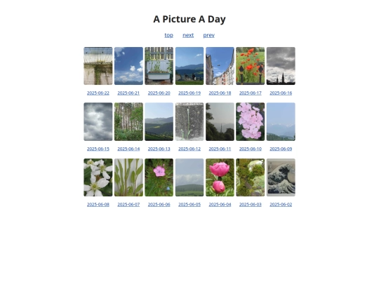 pages/grids/2025-25 screenshot