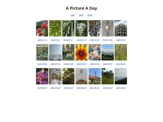 pages/grids/2025-28 screenshot