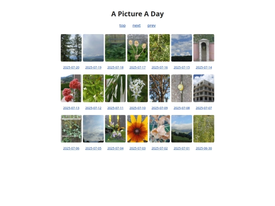 pages/grids/2025-29 screenshot
