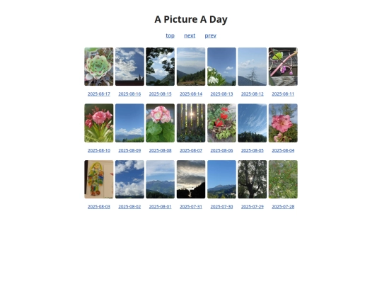 pages/grids/2025-33 screenshot