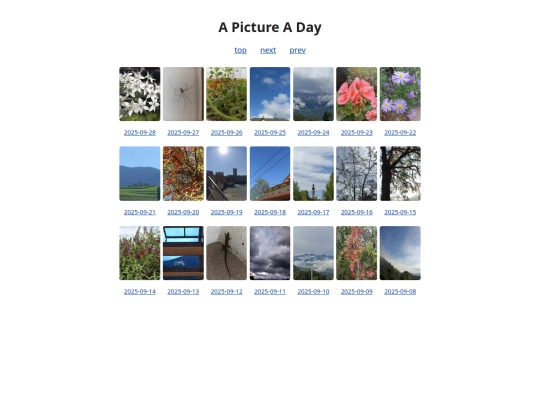 pages/grids/2025-39 screenshot