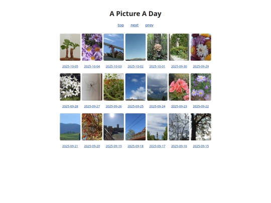 pages/grids/2025-40 screenshot