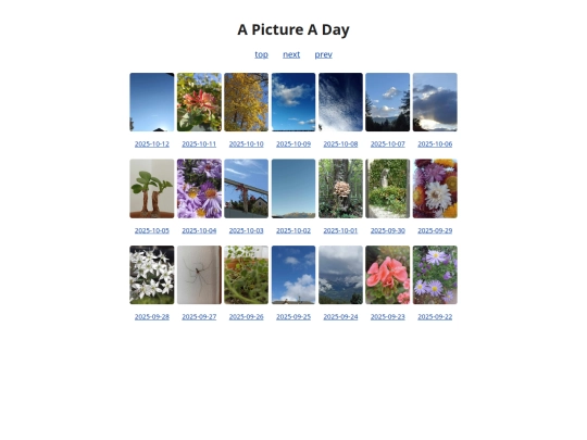 pages/grids/2025-41 screenshot