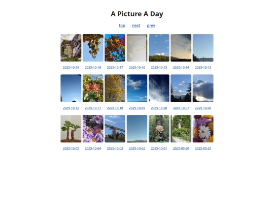 pages/grids/2025-42 screenshot
