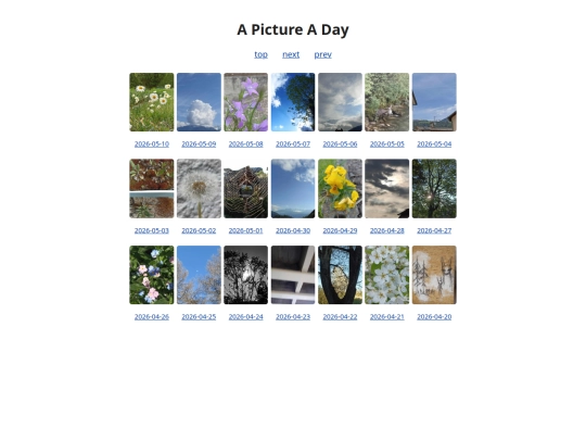 pages/grids/2026-19 screenshot