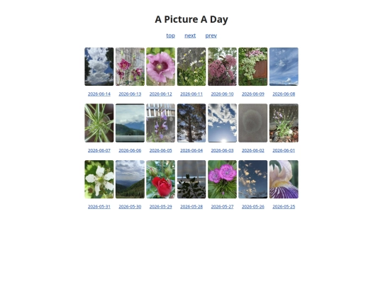 pages/grids/2026-24 screenshot