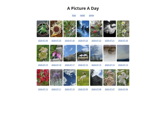pages/grids/2026-30 screenshot