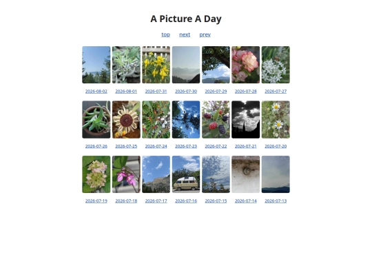 pages/grids/2026-31 screenshot