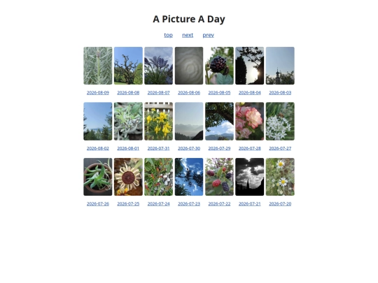 pages/grids/2026-32 screenshot